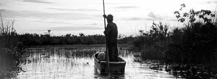 Ao Oeste, em Zapata 1 20251003 ao oeste em zapata papo de cinema 750 1