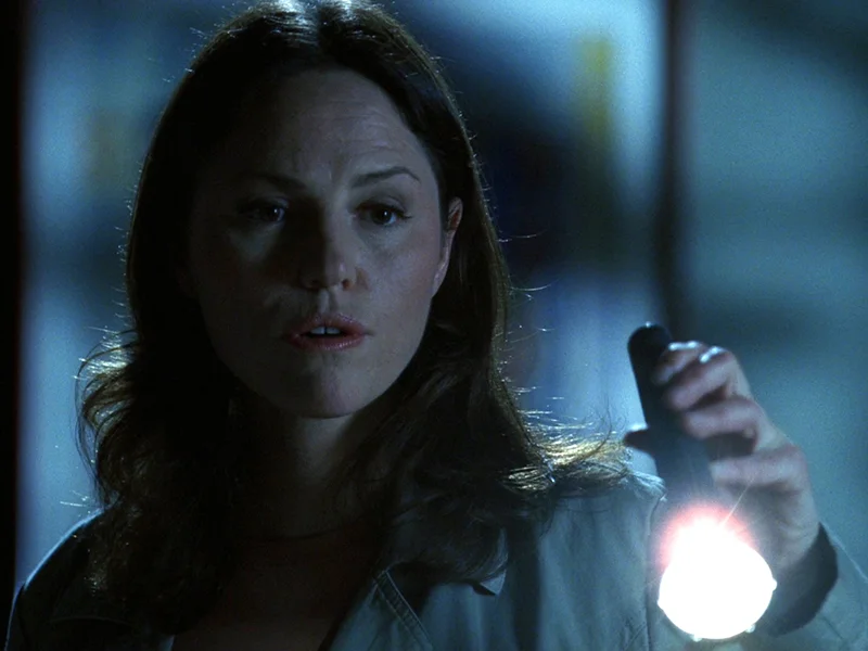 20251021 csi papo de cinema 800