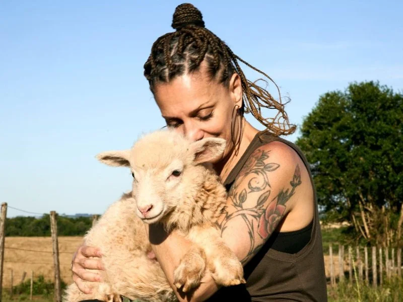 20251125 linhas da terra e do tempo papo de cinema 800