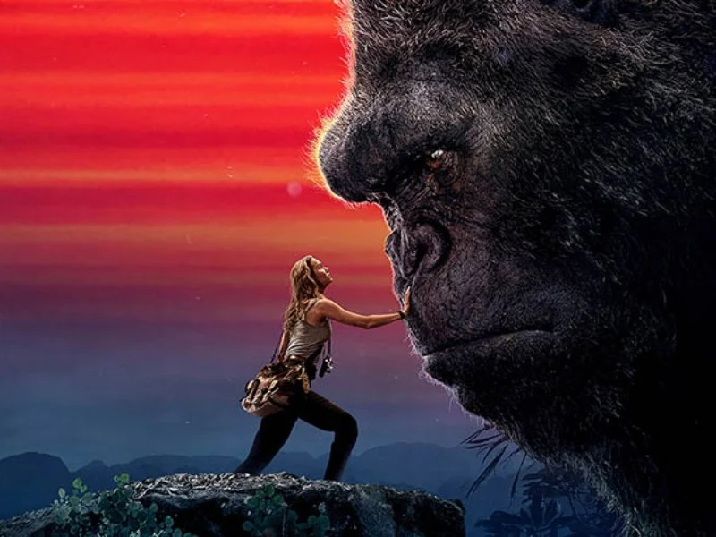 20251201 kong 2017 800