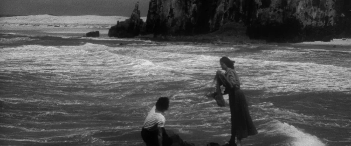 Festival de Roterdã 2026 :: Vento Norte