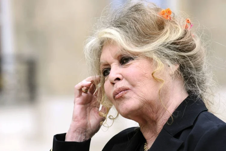 Brigitte Bardot, diva do cinema francês, morre aos 91 anos 4 Brigitte Bardot