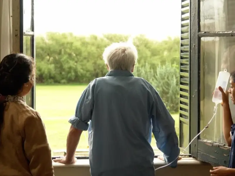 20260107 a janela 2008 papo de cinema 800