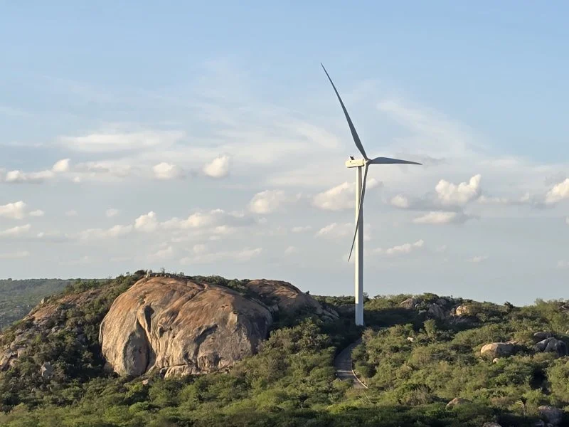 20260113 filho do vento papo de cinema 800