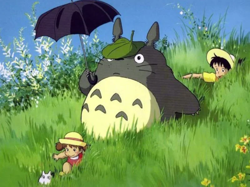 20260115 meu amigo totoro 800