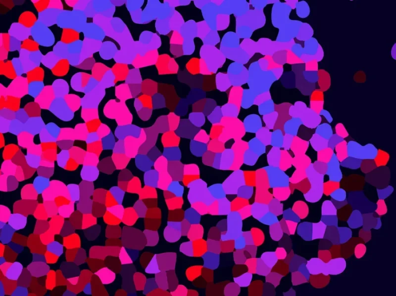 20260211 berlinale 2026 destaque papo de cinema e1770847456704