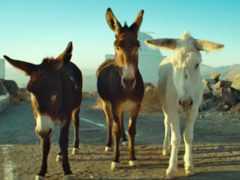 20260212 perfectly a strangeness papo de cinema 800