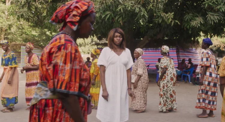 20260215 dao papo de cinema