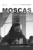 20260219 moscas papo de cinema cartaza