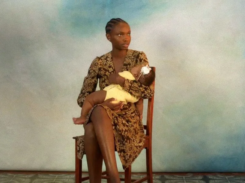 20260223 hanami 2024 papo de cinema 800