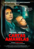 20261001 cartas amarelas