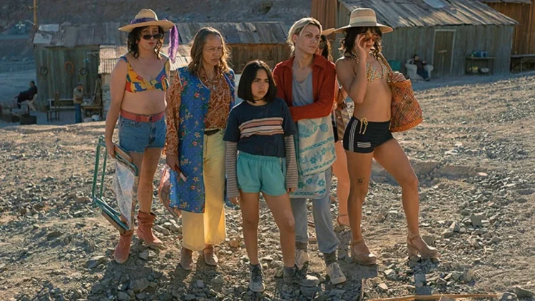 20260326 o olhar misterioso do flamingo filme papo de cinema