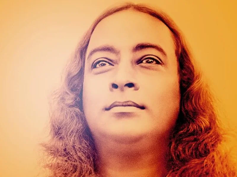 20260407 awake a vida de yogananda papo de cinema 800