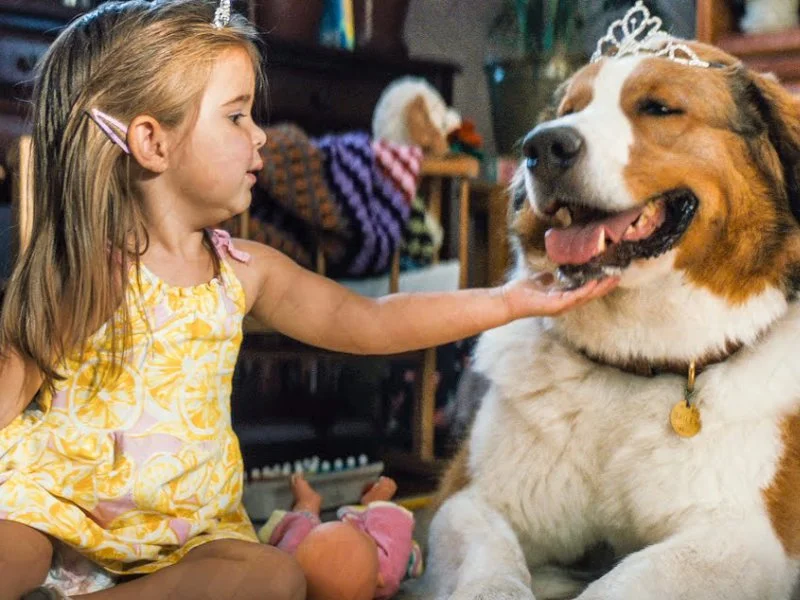 20260407 juntos para sempre papo de cinema 800