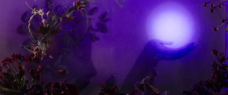 Prêmios Quirino 2026 :: Safo