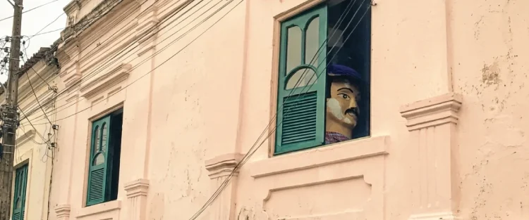 O Ano em que o Frevo Não Foi pra Rua, de Mariana Soares e Bruno Mazzoco