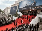 20260513 cannes 800