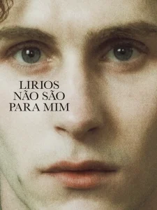 Lírios Não São Para Mim