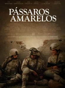 Pássaros Amarelos