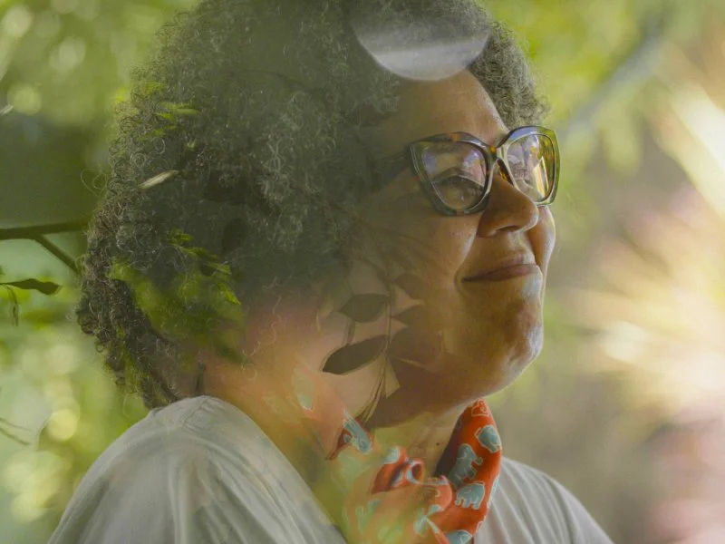 20260831 nem tudo e paz e amor papo de cinema 800