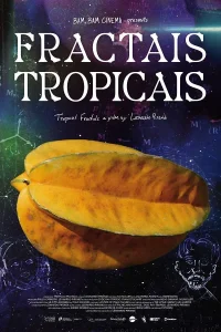 Fractais Tropicais